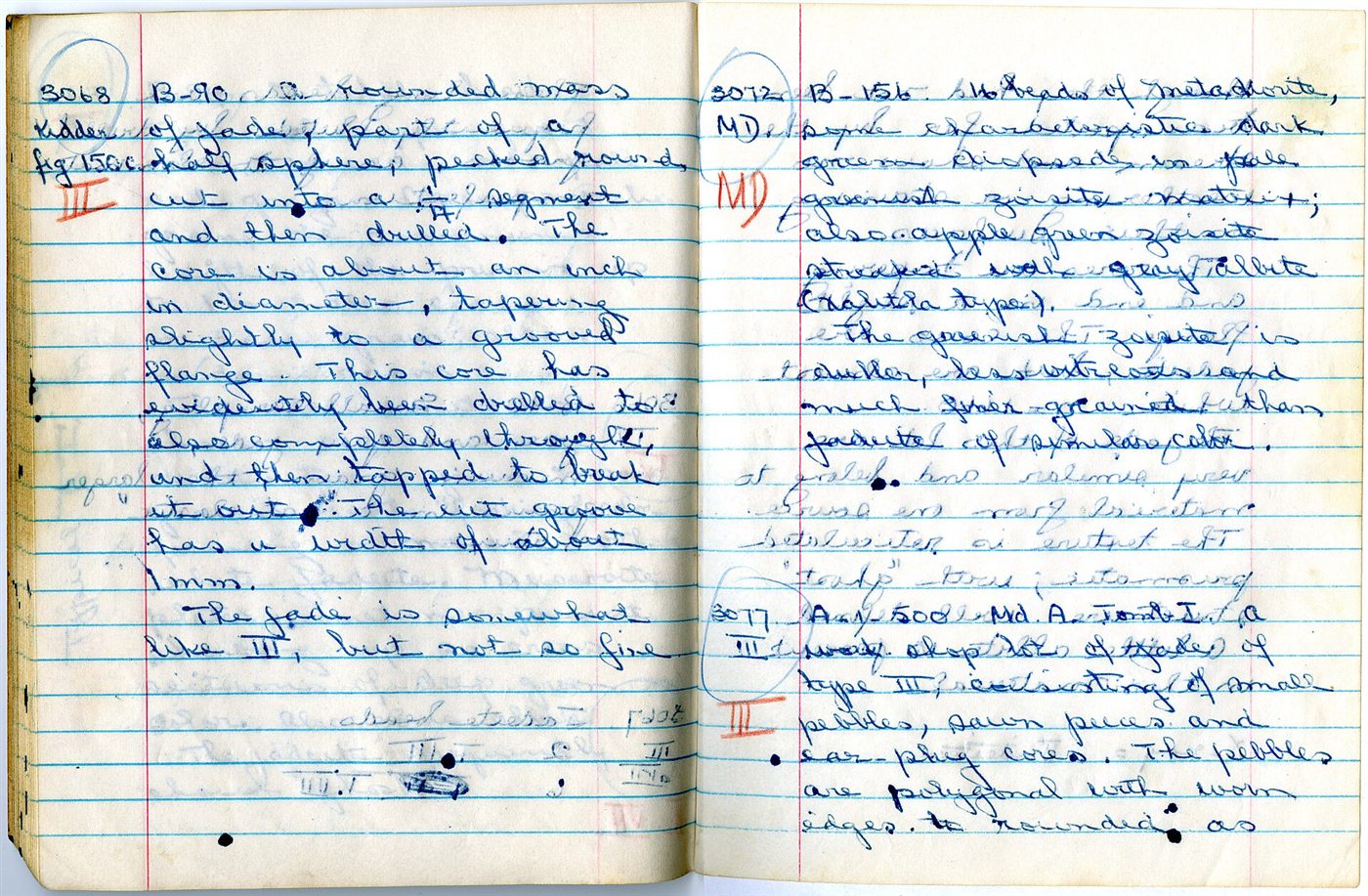 Two ruled notebook pages filled with blue-ink handwriting and circled sample numbers.